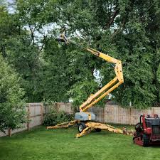 Best Lawn Irrigation Installation and Maintenance  in Winnsboro, SC
